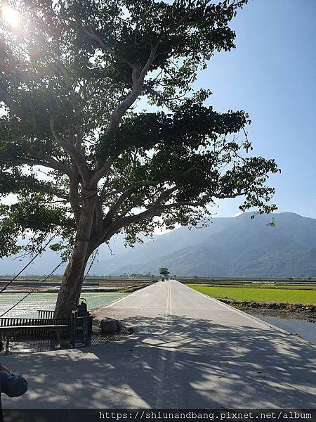 S&B小勛&邦邦~2024過年(邦)家族旅行:花東3日遊~第