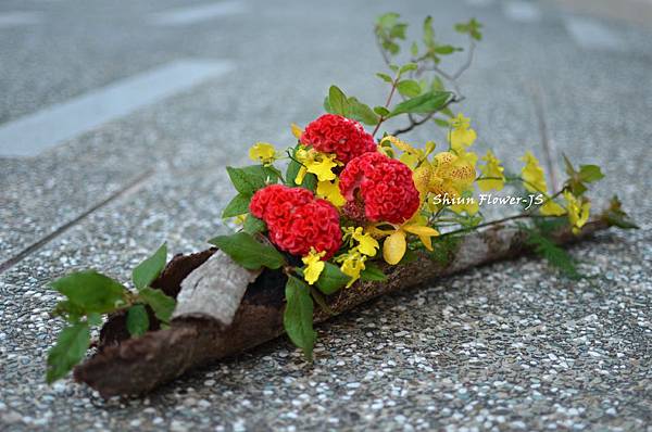 樹皮樹塊花藝