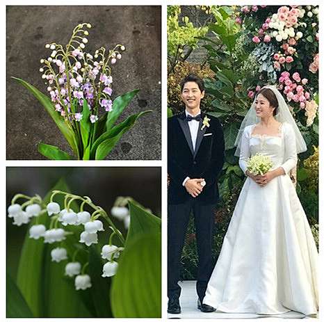 花葉材小知識 山谷百合 鈴蘭 Shiun Flower Js 歐洲花藝教學金屬珠寶不凋花教學婚禮設計 痞客邦