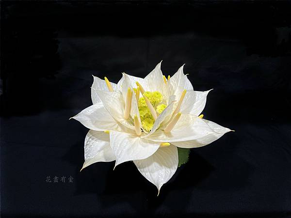 【宗教花藝設計】- 花供養