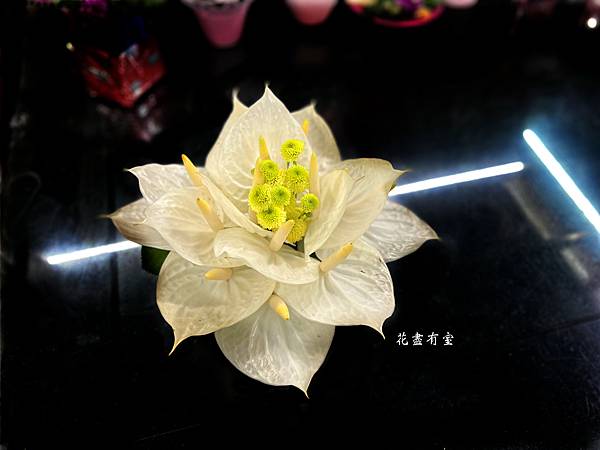 【宗教花藝設計】- 花供養