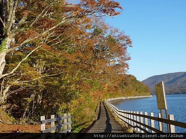 山中湖秋色