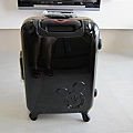 suit case (2) (Medium).JPG