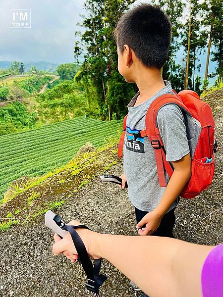 親子共遊山林趣!ProPACER彎把登山杖,讓山林冒險更精彩 親子共遊山林趣!ProPACER彎把登山杖,讓山林冒險更精彩