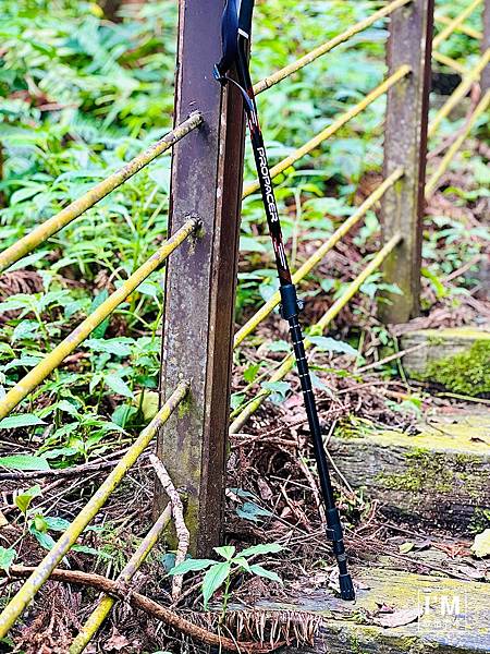 親子共遊山林趣!ProPACER彎把登山杖,讓山林冒險更精彩 親子共遊山林趣!ProPACER彎把登山杖,讓山林冒險更精彩