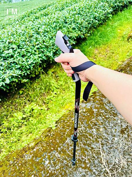 親子共遊山林趣!ProPACER彎把登山杖,讓山林冒險更精彩 親子共遊山林趣!ProPACER彎把登山杖,讓山林冒險更精彩