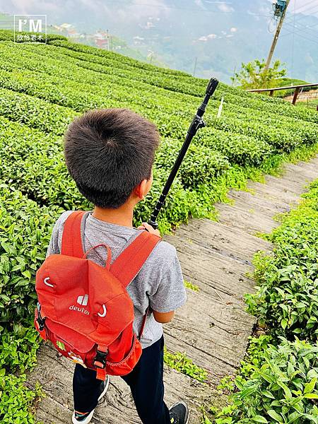 親子共遊山林趣!ProPACER彎把登山杖,讓山林冒險更精彩 親子共遊山林趣!ProPACER彎把登山杖,讓山林冒險更精彩