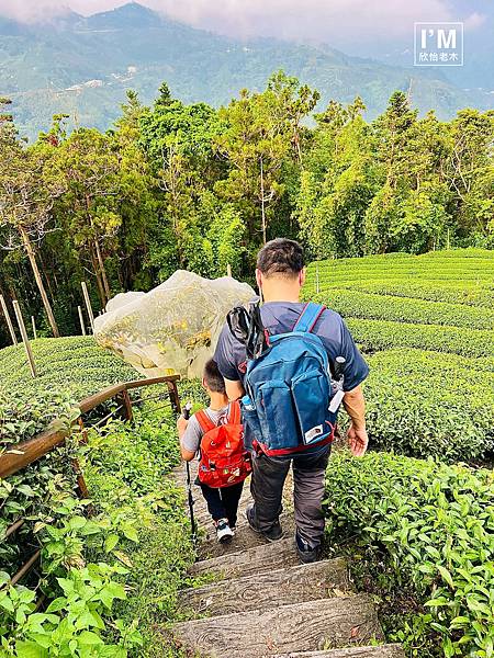 親子共遊山林趣!ProPACER彎把登山杖,讓山林冒險更精彩 親子共遊山林趣!ProPACER彎把登山杖,讓山林冒險更精彩