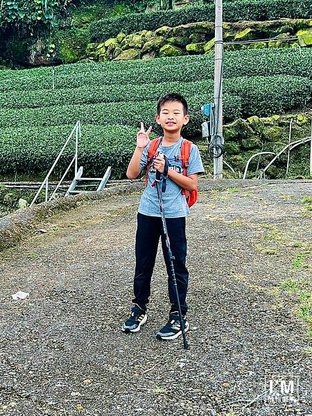 親子共遊山林趣!ProPACER彎把登山杖,讓山林冒險更精彩 親子共遊山林趣!ProPACER彎把登山杖,讓山林冒險更精彩