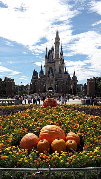 20160906_095252.jpg 20160906_095252.jpg