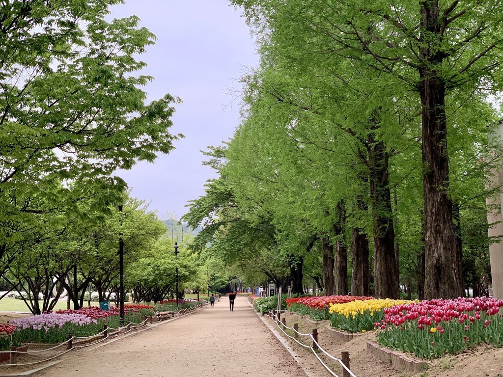 出遊 0423 釜山大邱姐妹行day1 蓮池公園 西面河南家烤肉 西面地下街 Ja 家民宿 Hello Life 痞客邦