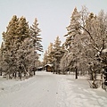 034.Igloo Village Kakslauttanen.jpg