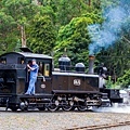 067.Puffing Billy車站.jpg