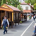 079.Puffing Billy.jpg