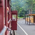 078.Puffing Billy.jpg