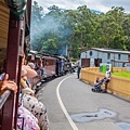 081.Puffing Billy.jpg