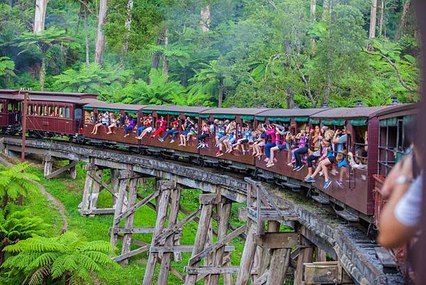 209.Puffing Billy.jpg