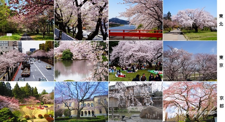 DSC04603-tile.jpg DSC04603-tile.jpg