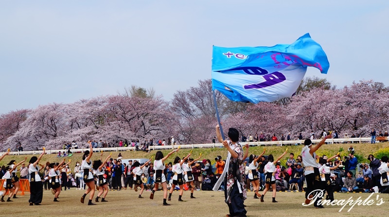 DSC02265.JPG DSC02265.JPG