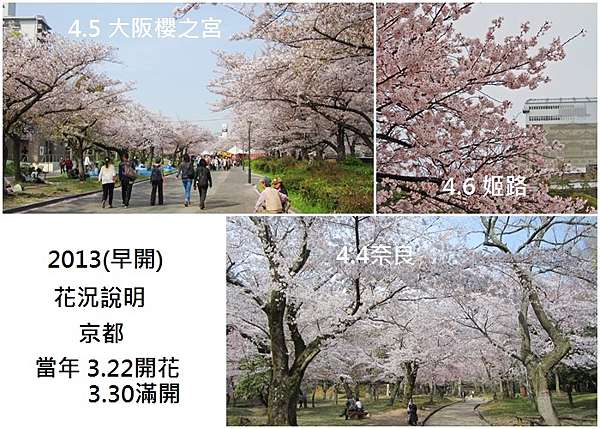 追櫻 18追櫻花熱身追蹤日本搶攻18櫻花季通識篇 鳳梨的香氣 痞客邦 追櫻 18追櫻花熱身追蹤日本搶攻18櫻花季通識篇 鳳梨的香氣 痞客邦
