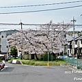 20130331.JPG