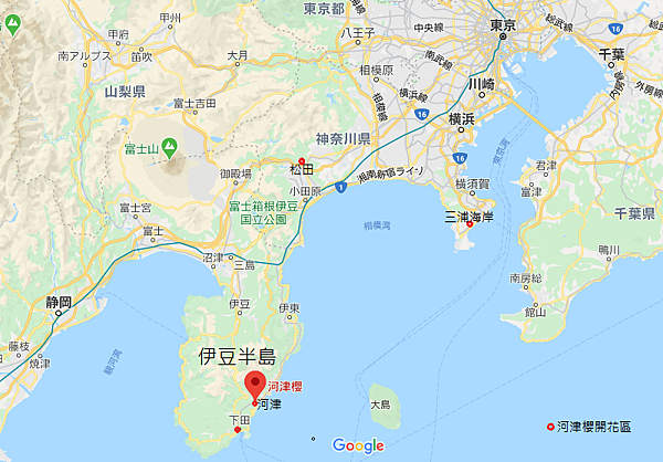 河津櫻圖地圖.png