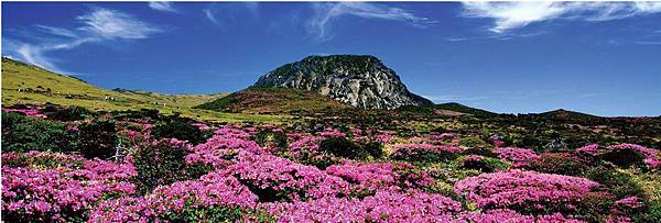 濟州島風景