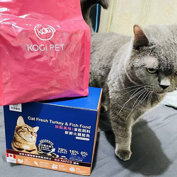 加點美味！凍乾飼料，無榖、低敏讓毛孩的味蕾也能升級！宏瑋寵物