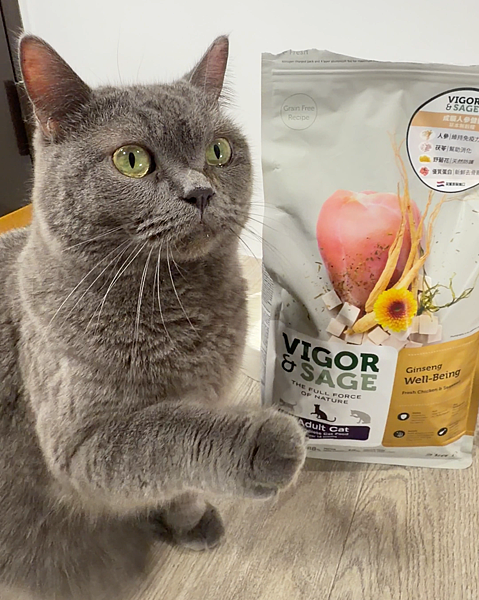 靈萃評價 毛孩也養生 喵界頂級享受！人參草本無穀糧 吃完後空