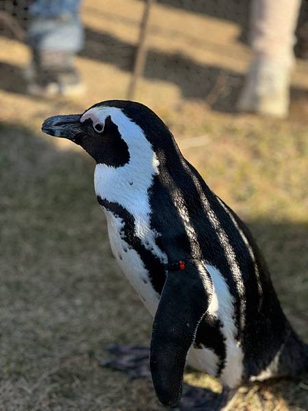 20231126-D2名古屋水族館