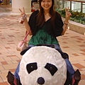 哈哈看到熊貓超興奮！小時候也玩過（有照片留念）！坐起來超舒服的啦！
