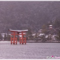 0124-1-廣島-嚴島神社-1 (34).JPG