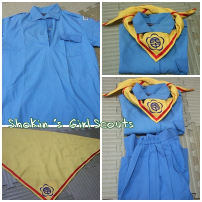 Girl Scouts.jpg