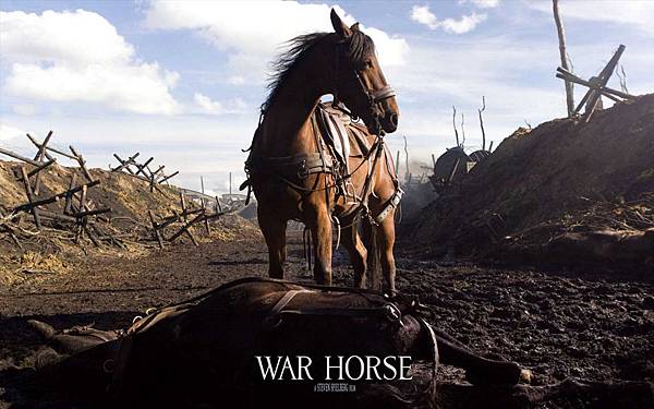 war_horse-013.jpg