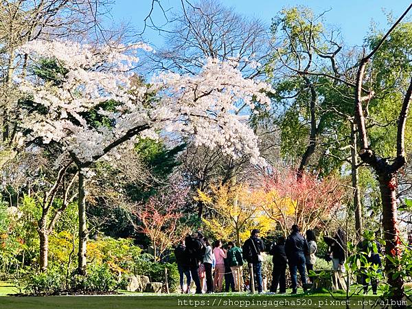 【旅行 / 目錄】英國、日本、台灣、香港遊記