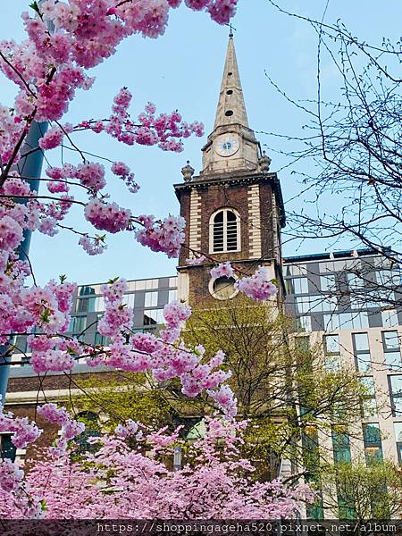 【旅行 / 目錄】英國、日本、台灣、香港遊記