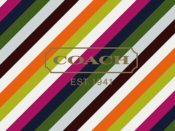 Coach-Wallpapers-coach-103513_1024_768