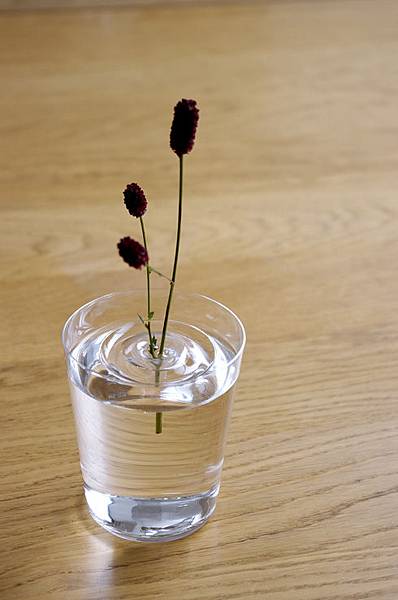 20130401-floating-vase-4