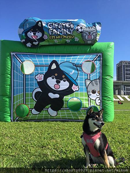 第三屆琦菲運動會路跑