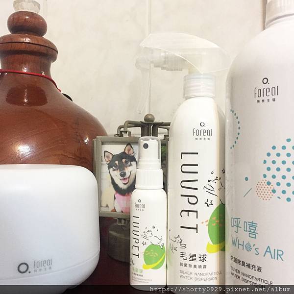 毛星球全套組　２