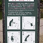 20130614奈良公園-鹿 10.JPG