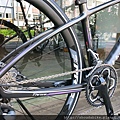 2016 Liv Thrive comax 1 DISC 女性平把公路車