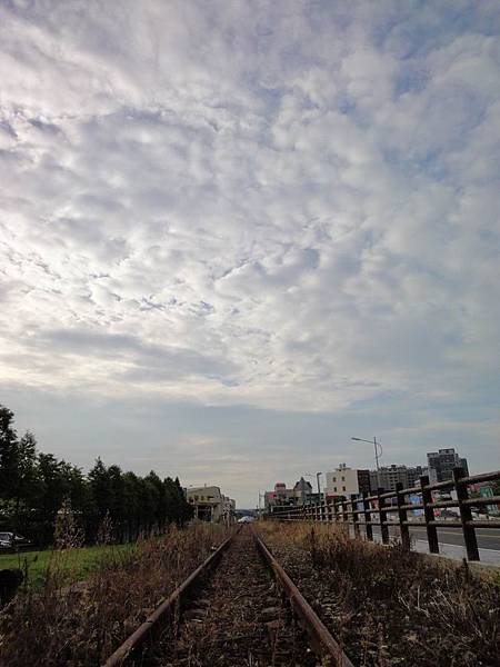 調整大小DSC00234 調整大小DSC00234