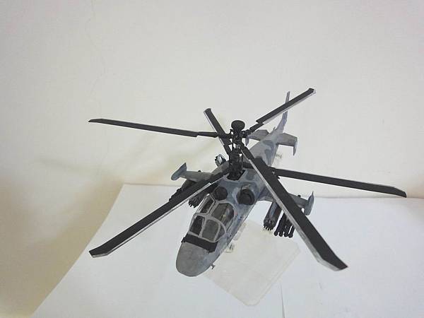 調整大小DSC00422.JPG 調整大小DSC00422.JPG