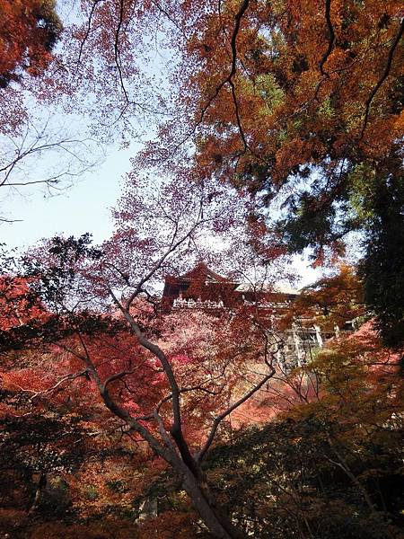 調整大小DSC01513.JPG 調整大小DSC01513.JPG