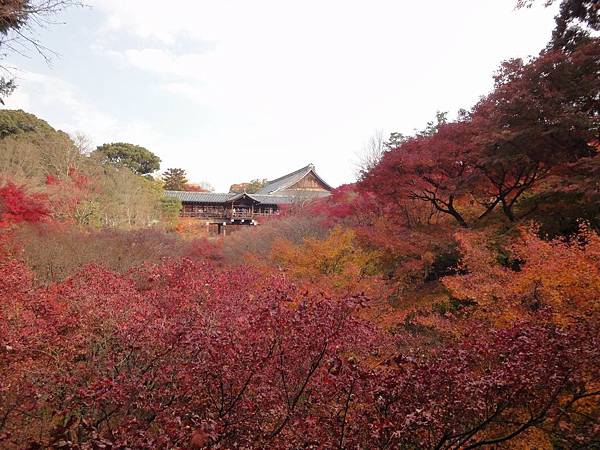 調整大小DSC01572.JPG 調整大小DSC01572.JPG