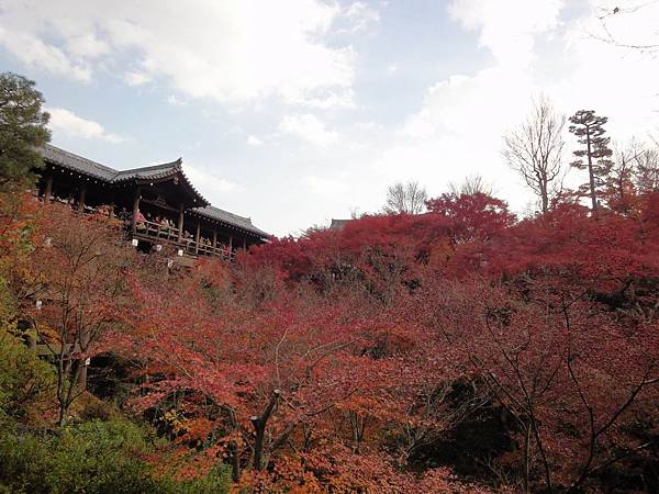 調整大小DSC01653.JPG 調整大小DSC01653.JPG