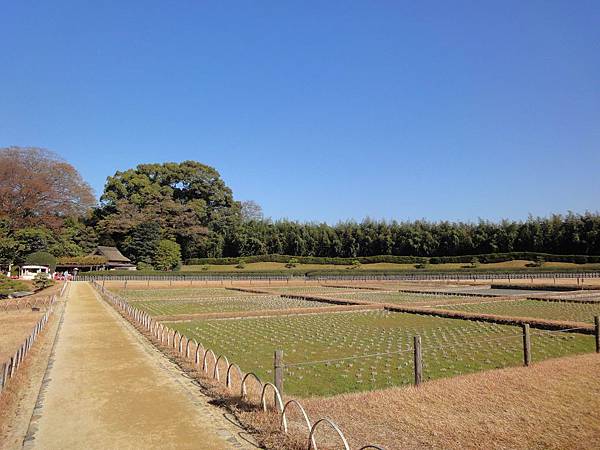 調整大小DSC01879.JPG 調整大小DSC01879.JPG