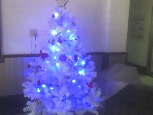 藍色聖誕樹