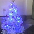 藍色聖誕樹